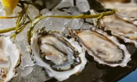 Shaw’s Crab House – Chicago, IL